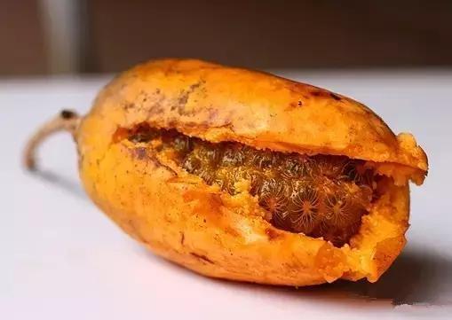 江西上犹营前天气预报(上犹营前天气预报15天)-第2张图片-启辰天气网