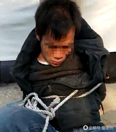 男子将狗吊树上虐杀:有人说养狗不能打狗，打了会有什么后果？
