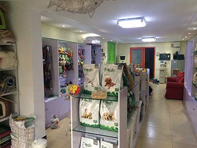 开怎么开宠物店:想开宠物店，该怎么入手？