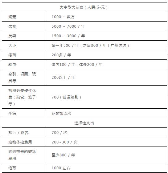 巴吉度图片:养宠物的月花费是多少呢？有没有推荐的犬种？