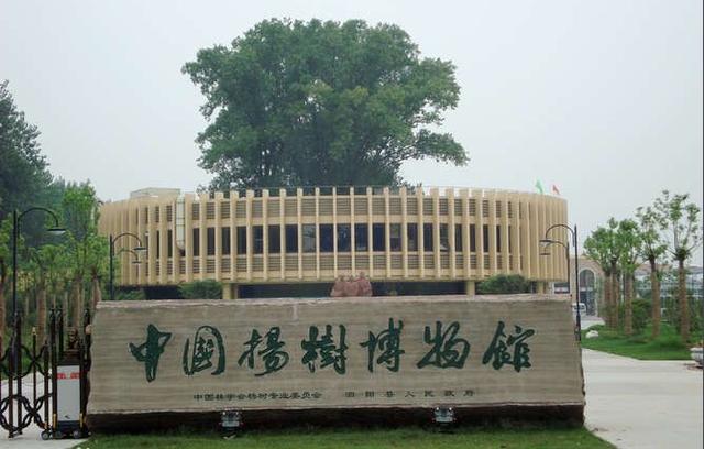 彭雪枫将军简介:历史上有没有真正的文武全才？