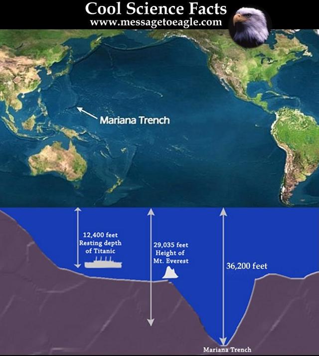 蛟龙号最深能潜多少米，地球最深的地方到底有多深