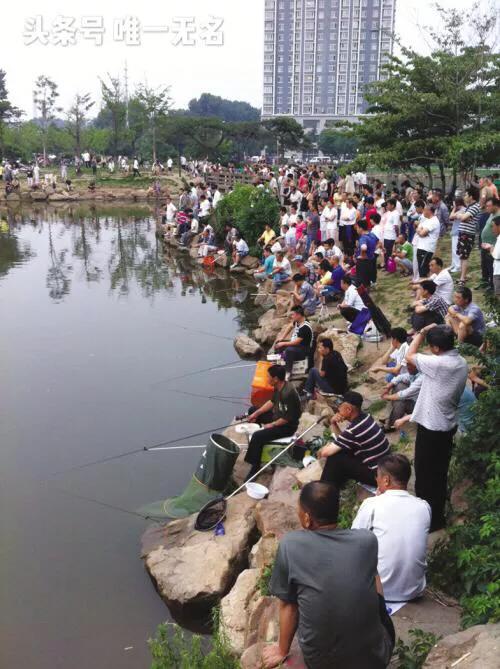 中国为什么会兴起钓鱼热，为什么越来越多的人喜欢垂钓