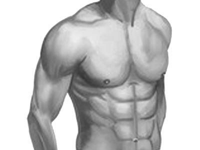 三门相通会死人,人类离开哪个器官不会死亡？