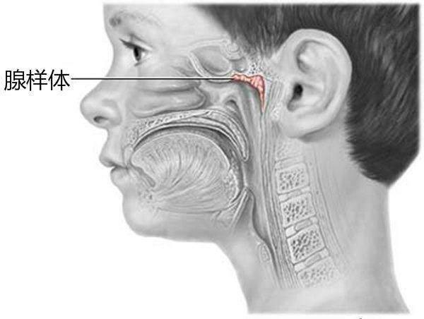三门相通会死人,人类离开哪个器官不会死亡？