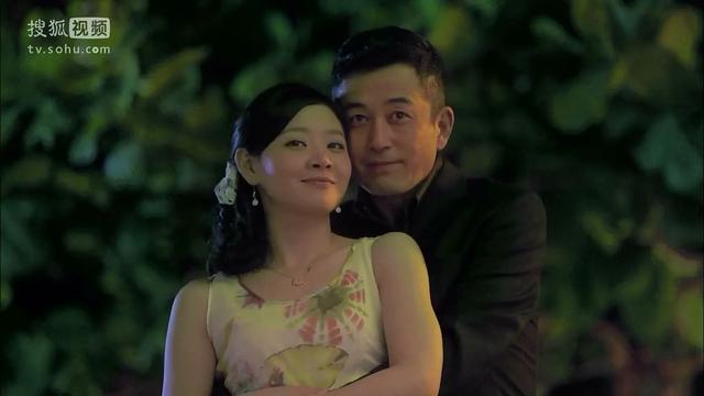 演员王维维:如何评价由陆毅、袁泉主演的电视剧《风再起时》？