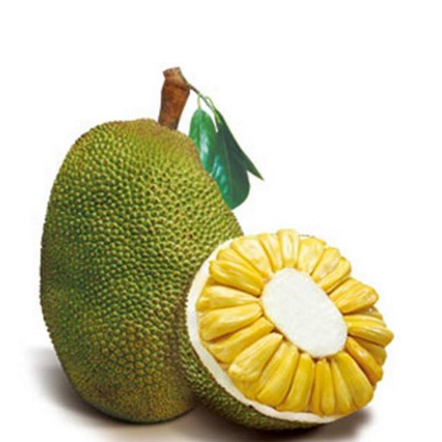 榴莲与波萝蜜有何区别？