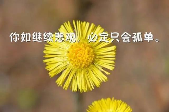 周末阳光早安心语：愿有岁月可回首，且似温柔待此生