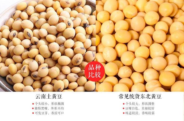 转基因黄豆与非转基因有什么区别