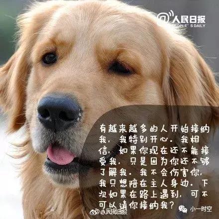 导盲犬价格:导盲犬训练费用平均二十万元以上，为什么不使用人工陪护呢？