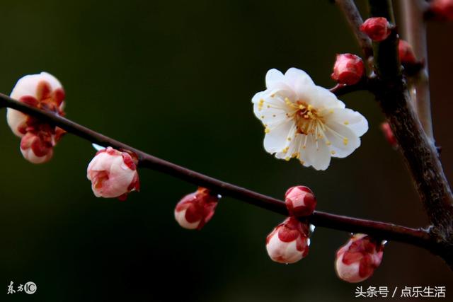 什么是人品？