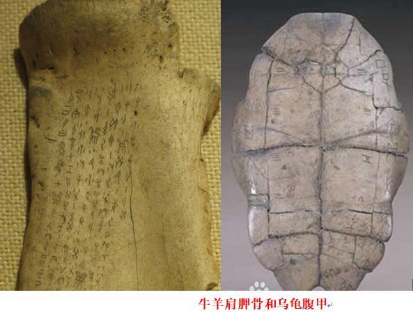 甲骨文是写在哪上面的？