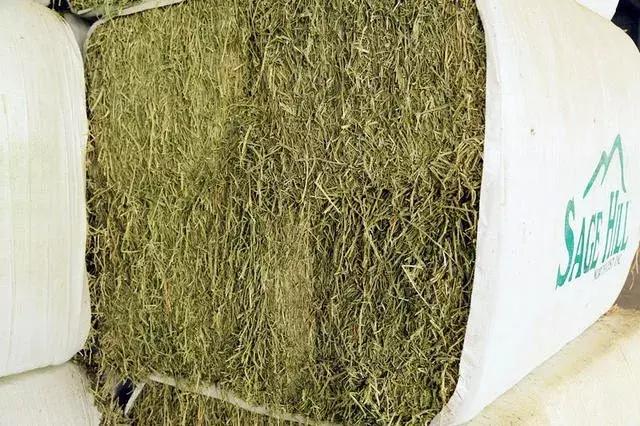 中国纯牛奶品牌排行榜,儿童纯牛奶哪个牌子好？求推荐？