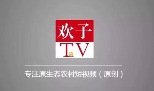 欢子女朋友:欢子TV一个月能赚多少钱？
