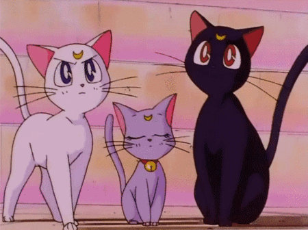 卡通猫图片大全可爱:动漫中，有哪些著名猫咪角色？ 猫图片可爱
