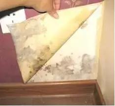 头条问答 都说墙布比墙纸好 好在哪里 16个回答