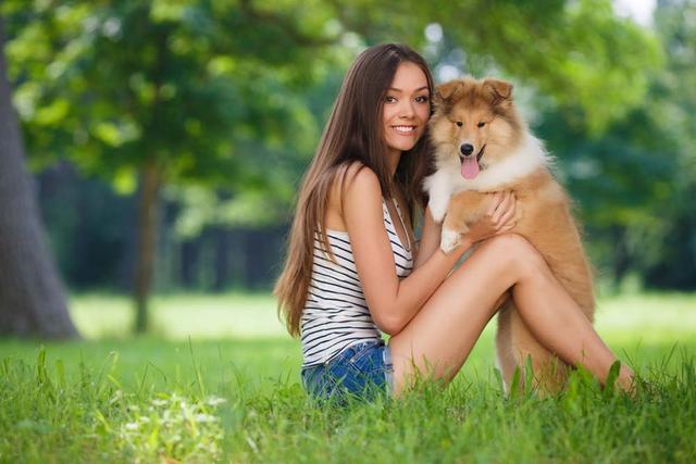 宠物婚介品种健康:什么宠物适合孤独的人饲养？