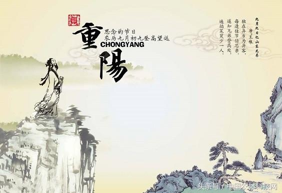 请问,重阳节都会举行哪些活动呢？