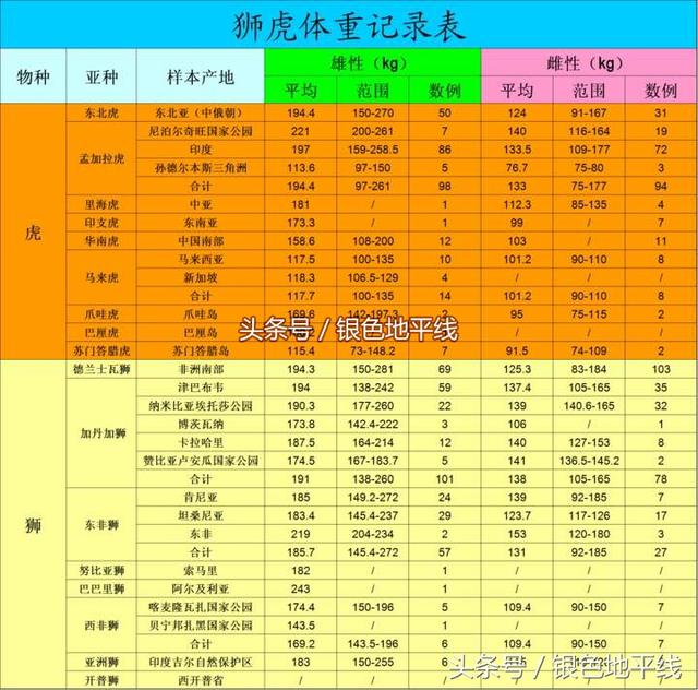 老虎和狮子打架视频:一只老虎打得过两只狮子吗？