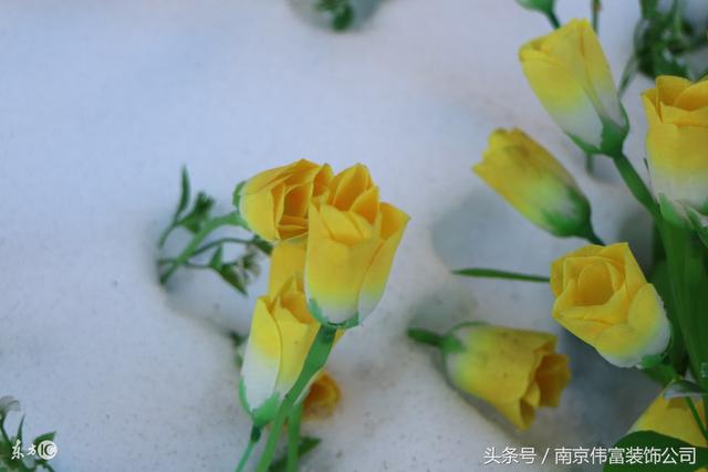 家里放个空鸟笼的禁忌,为什么家里不能摆放假花？