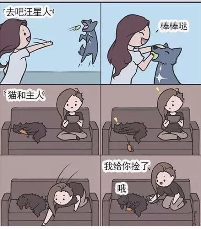 养猫好吗:为了养猫负债累累，真的值得吗？