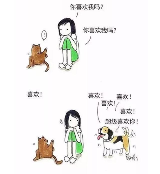 养猫好吗:为了养猫负债累累，真的值得吗？