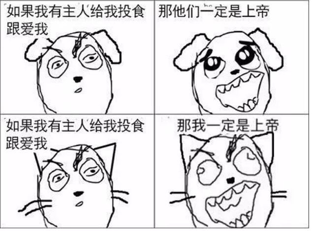 养猫好吗:为了养猫负债累累，真的值得吗？