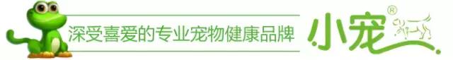 布氏杆菌病传染途径:布氏杆菌病的传播途径 布鲁氏杆菌狗狗是如何感染de？