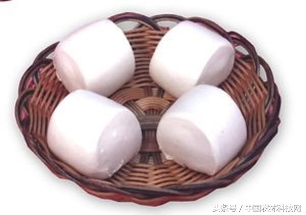 陕西蒲城细狗逮兔:在农村，俗语“上山兔子下山鸡，离水甲鱼莫去追”，啥意思？
