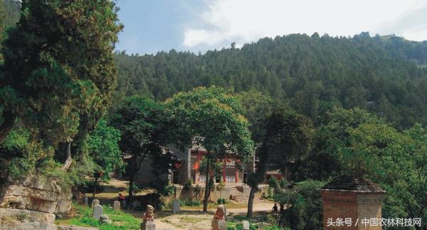 陕西蒲城细狗逮兔:在农村，俗语“上山兔子下山鸡，离水甲鱼莫去追”，啥意思？
