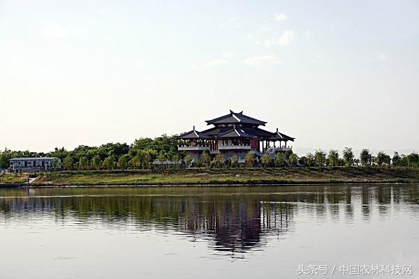 陕西蒲城细狗逮兔:在农村，俗语“上山兔子下山鸡，离水甲鱼莫去追”，啥意思？