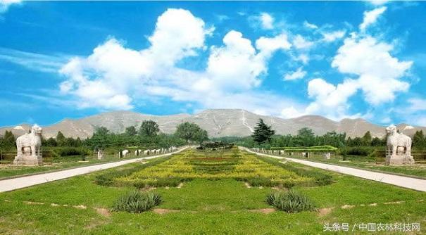 陕西蒲城细狗逮兔:在农村，俗语“上山兔子下山鸡，离水甲鱼莫去追”，啥意思？