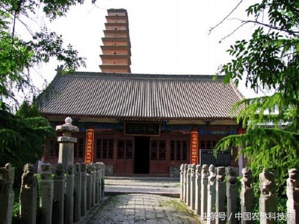 陕西蒲城细狗逮兔:在农村，俗语“上山兔子下山鸡，离水甲鱼莫去追”，啥意思？