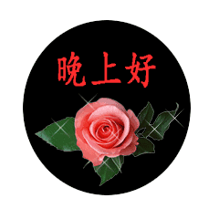 晚安好梦的短语，晚上好的表情图片