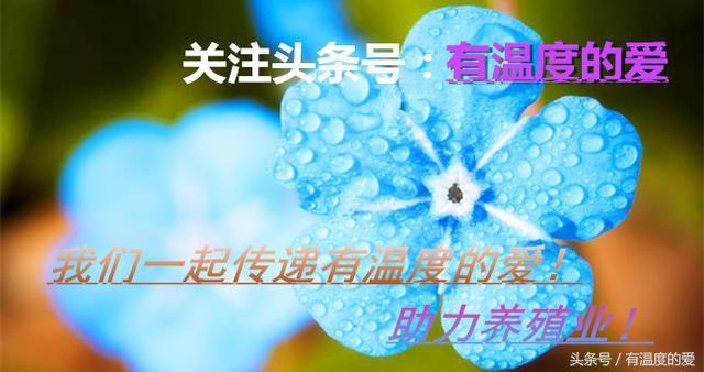 鸡脑脊髓炎病:鸡脑脊髓炎病毒 秋季常见鸡病分析，秋季鸡群最容易感染哪种疾病？需要怎样预防？