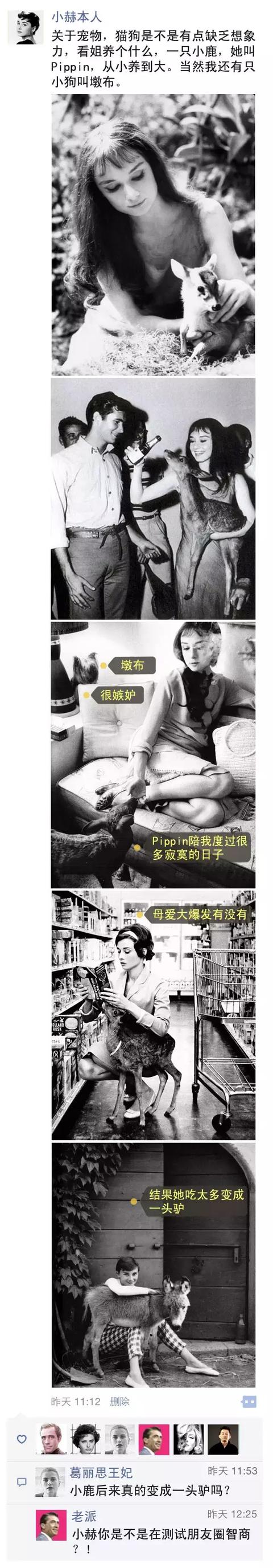 费雯丽和奥黛丽赫本:怎么比较奥黛丽赫本与费雯丽？
