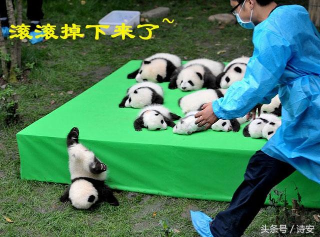外国人对中国有哪些误解？