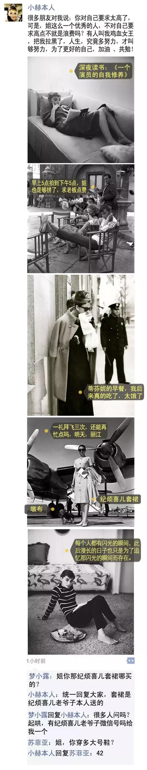 费雯丽和奥黛丽赫本:怎么比较奥黛丽赫本与费雯丽？