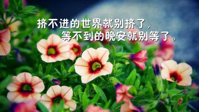 早安正能量语录180412：鲜花和掌声当作前进动力，挫折和失败化为奋进勇气