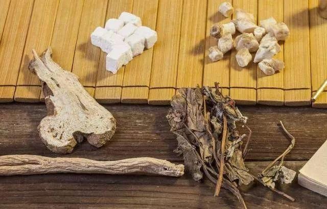白术种子怎么种？