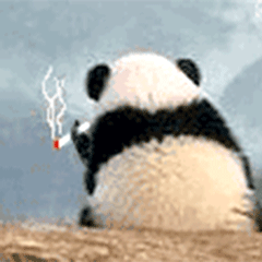 有什么撩汉的语录值得推荐？
