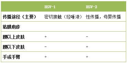 面部危险三角区:亲吻小婴儿的危险性有多大