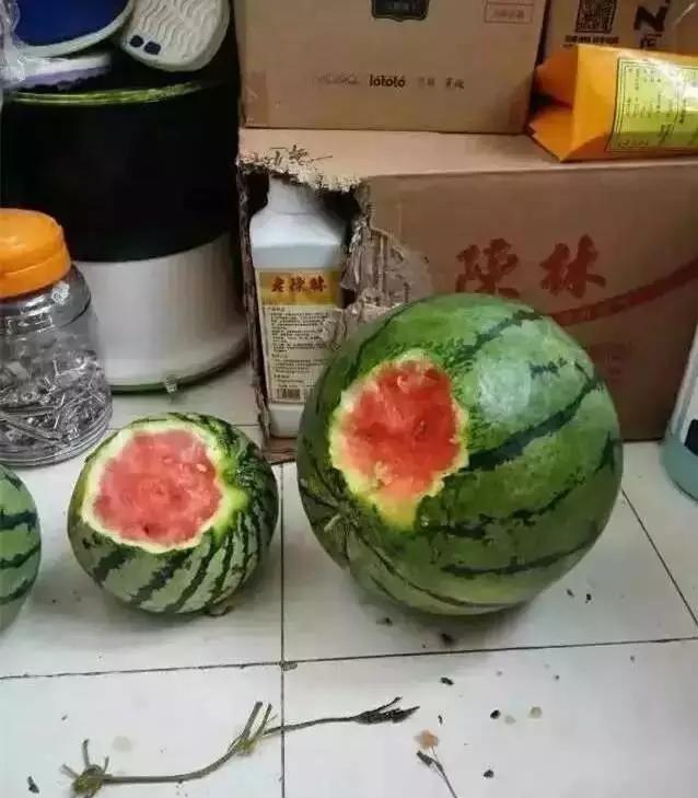 边牧犬多少钱一只:边牧犬多少钱一只黑色 如何挑选一只好的边牧幼犬？
