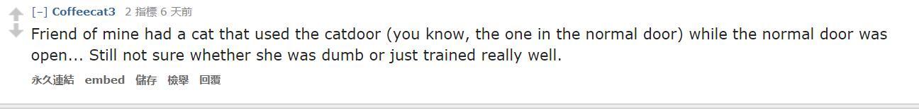 沉默的斗牛犬天涯:养一只特别蠢的宠物是一种怎样的体验？