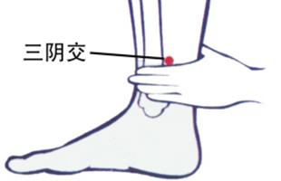 补肾推拿，如何通过按摩脚掌心达到强化身体的目的
