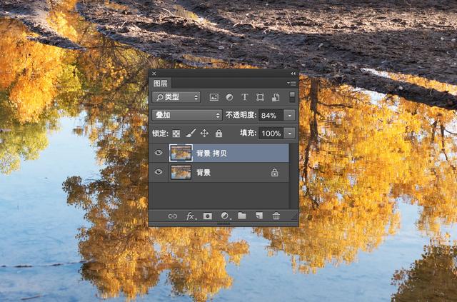 头条问答- lightroom和photoshop有什么区别？(龙少飞111的回答，0赞）