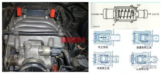 furminator猫刷子厂家:鱼缸刷子哪一个品牌好？怎么选择？