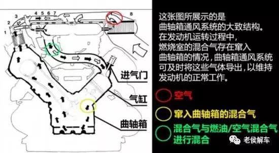 furminator猫刷子厂家:鱼缸刷子哪一个品牌好？怎么选择？