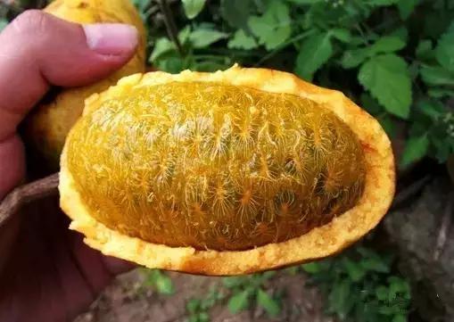 江西上犹营前天气预报(上犹营前天气预报15天)-第6张图片-启辰天气网