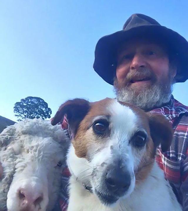 六安打狂犬疫苗要打几针:小狗的狂犬疫苗怎么打比较好，打几针？